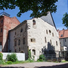 Ein großes weißes getünchtes Gebäude von gründen Blättern eingerahmt.