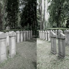 mehrere Reihen Grabsteine für die gefallenen des ersten Weltkrieges