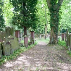 Ein Weg rechts und links von alten Grabsteinen  und Bäumen gesäumt
