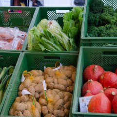 Grüne Kisten befüllt mit Kartoffeln, Kürbis und Lauch auf dem Wochenmarkt in Walldorf