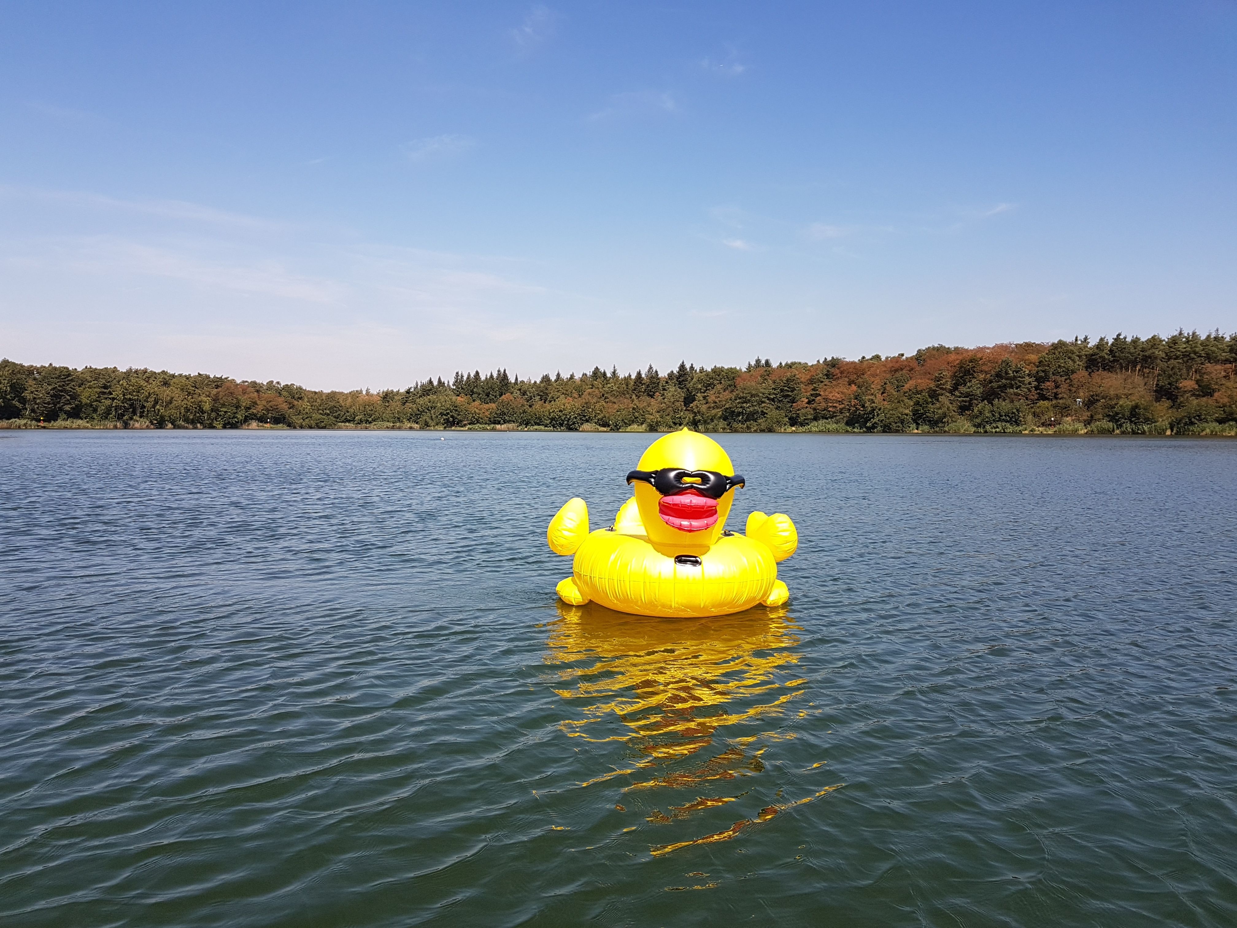 Aufblasbare Badeente schwimmt auf der Badestelle Walldorfer See