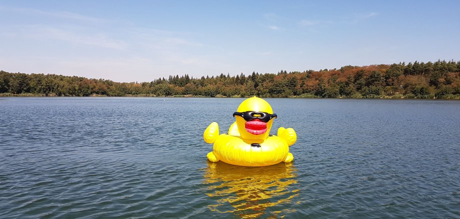 Aufblasbare Badeente schwimmt auf der Badestelle Walldorfer See