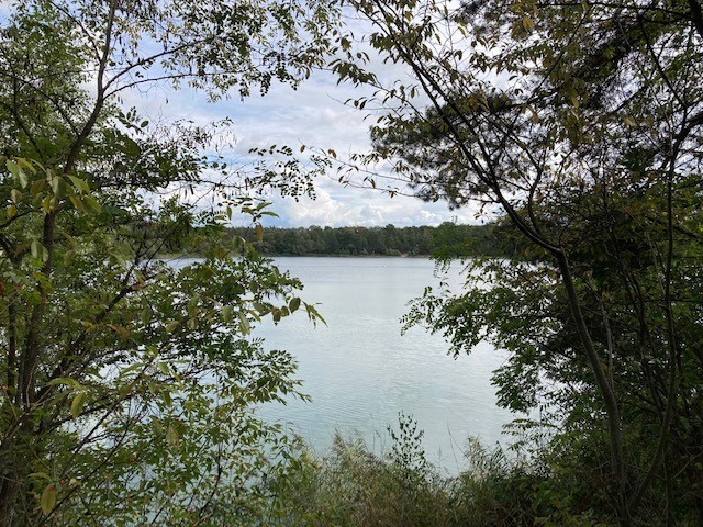 Blick vom Ufer eingerahmt von links und rechts Gebüsch auf den See.