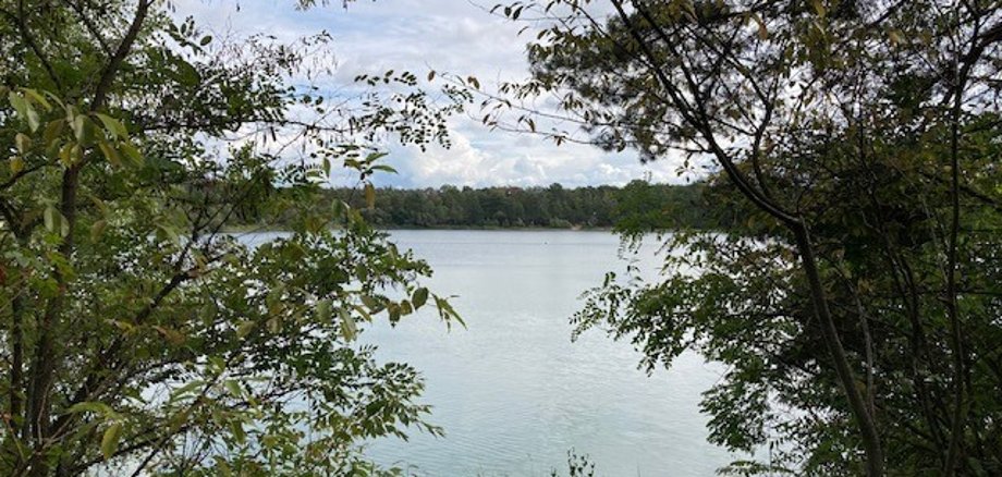 Blick vom Ufer eingerahmt von links und rechts Gebüsch auf den See.