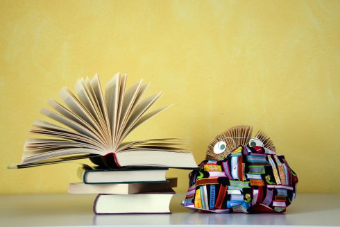 Leseigel neben einem Stapel Bücher