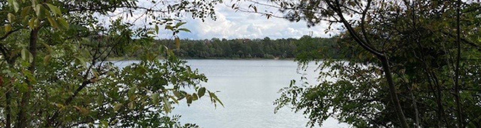 IMG_1653.JPG