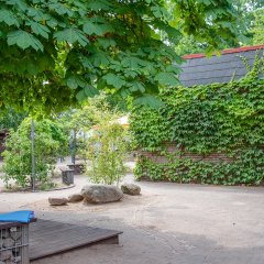 Innenhof mit grünen Sträuchern und eine mit Efeu bewachsene Wand.