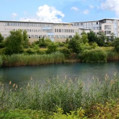 Blick über mit Sträuchern umrandeten Tränkweiher mit Bürogebäude im Hintergrund