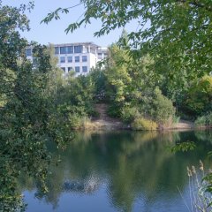 Blick durch grüne Bäume auf den Tränkweiher und Bürogebäude am Horizont