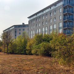 Grüne Freifläche vor dem Hotel im Sonnenuntergang