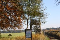20121021_Herbst Mönchbruch1.JPG