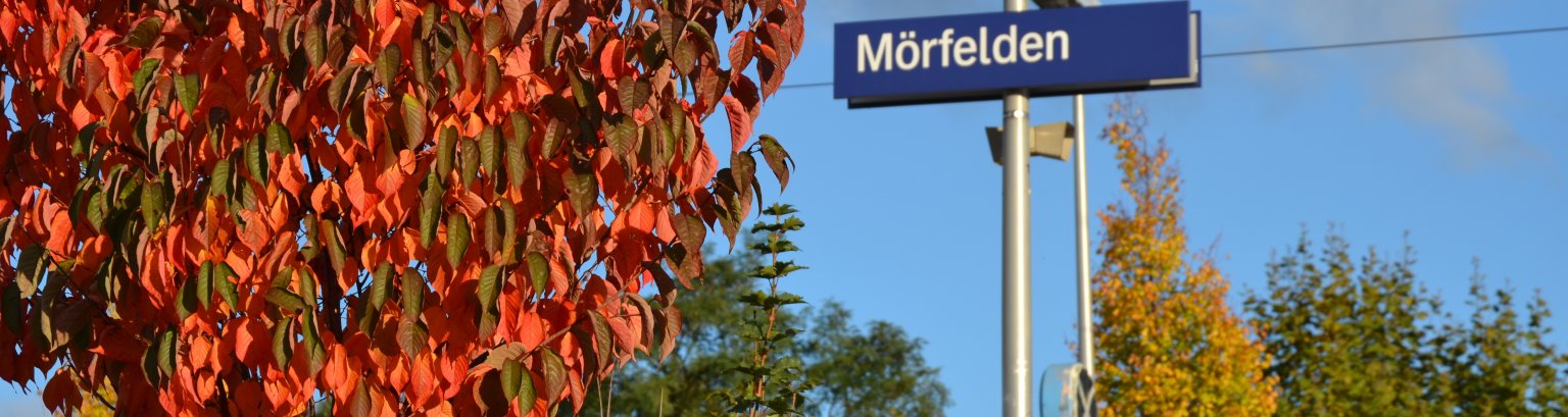 20131013_Herbst1.JPG