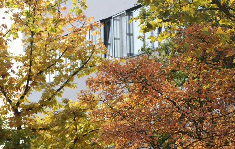 20131013_Herbst4.jpg