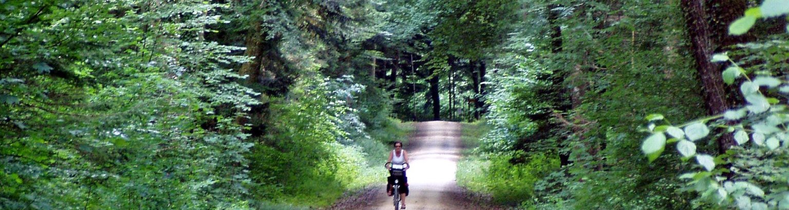 2015_Radfahrerin Mönchbruch.JPG