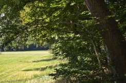 20160911_Bornbruchsee (7).JPG