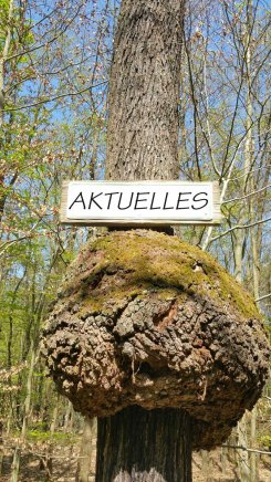 Baum Aktuelles.jpg