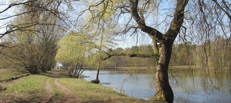 Gundwiesensee_Grohnmeier-Wächter.JPG