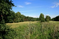 Neubacher_Gundbach.jpg