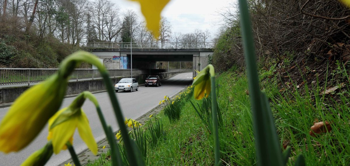 Sperrung HermannLönsStraße Startseite