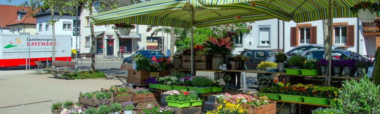 Blumenstand auf dem Walldorfer Wochenmarkt