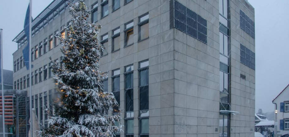 Zugeschneiter Weihnachtsbaum mit Lichtern vor dem Rathaus Walldorf