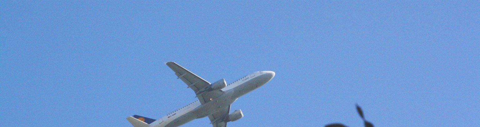 Flugzeug.jpg