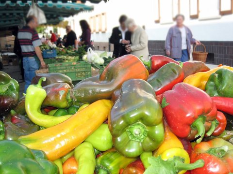 Keim_Paprika10-2005.jpg