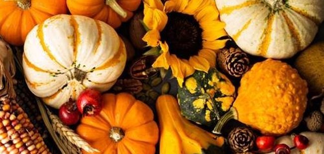 Bild gefüllt mit Zierkürbissen, Hagebutten-Früchten, Tannenzapfen und in der Mitte befindet sich eine Sonnenblume