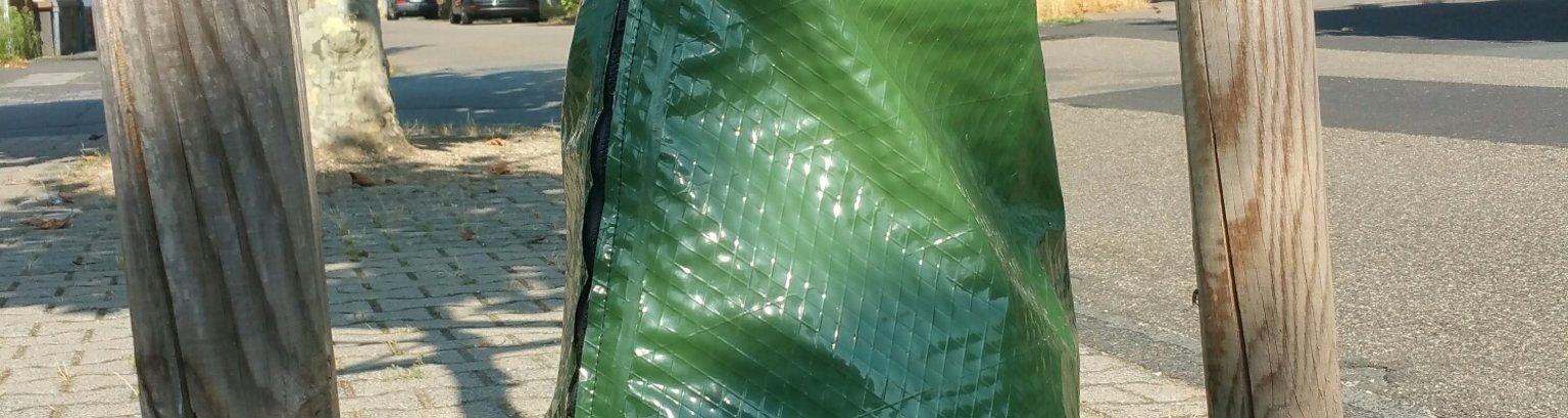 Grüner Wassersack an Platane