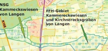 Kammereckswiesen Langen.JPG