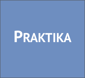 Praktika.png