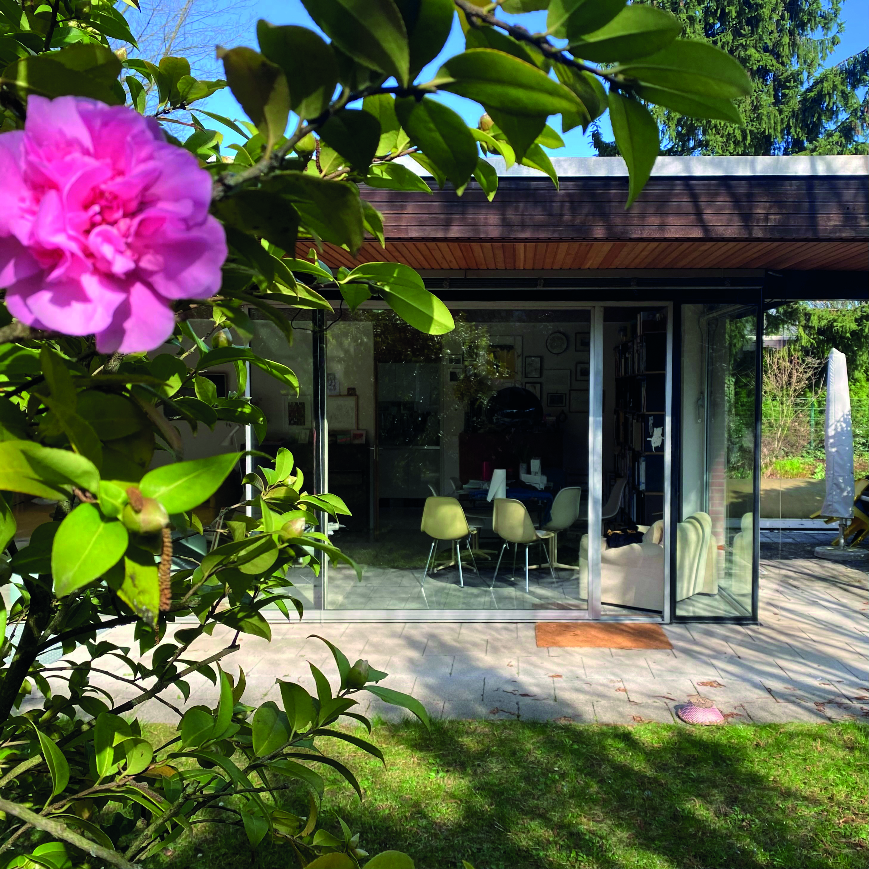 Hausansicht von der Terrasse aus mit einem Baum und Blüte im Vordergrund