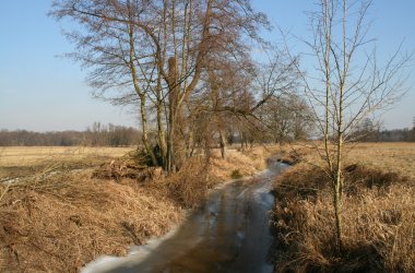 Mönchbruch_2_Grohnmeier-Wächter.JPG