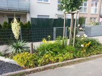 20130625_184426.jpg